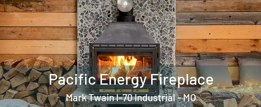 Pacific Energy Fireplace Mark Twain I-70 Industrial - MO