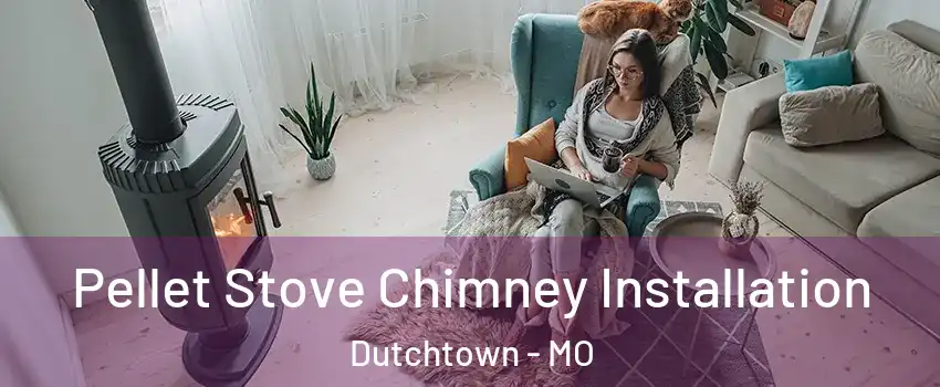 Pellet Stove Chimney Installation Dutchtown - MO