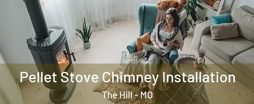 Pellet Stove Chimney Installation The Hill - MO