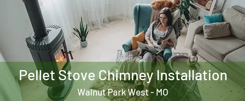 Pellet Stove Chimney Installation Walnut Park West - MO