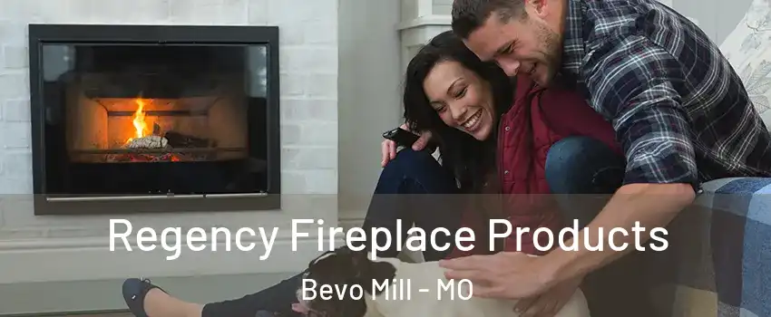 Regency Fireplace Products Bevo Mill - MO