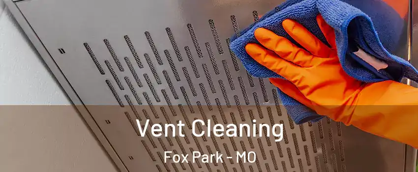 Vent Cleaning Fox Park - MO