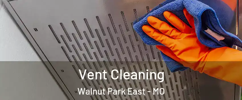 Vent Cleaning Walnut Park East - MO