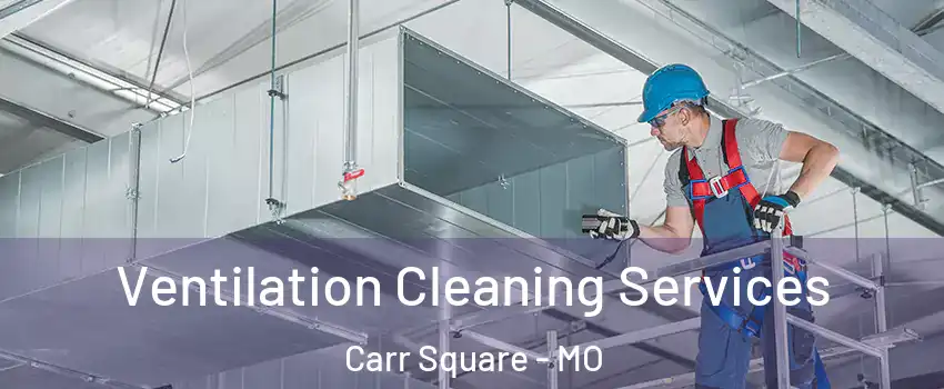 Ventilation Cleaning Services Carr Square - MO