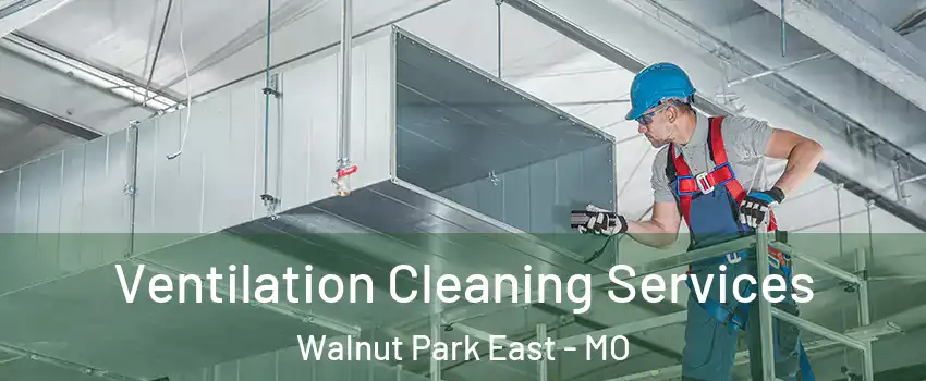 Ventilation Cleaning Services Walnut Park East - MO