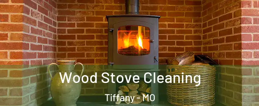 Wood Stove Cleaning Tiffany - MO