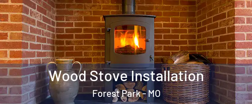 Wood Stove Installation Forest Park - MO